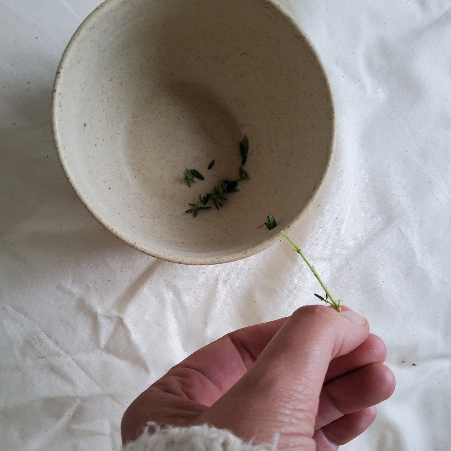 Herb stripper