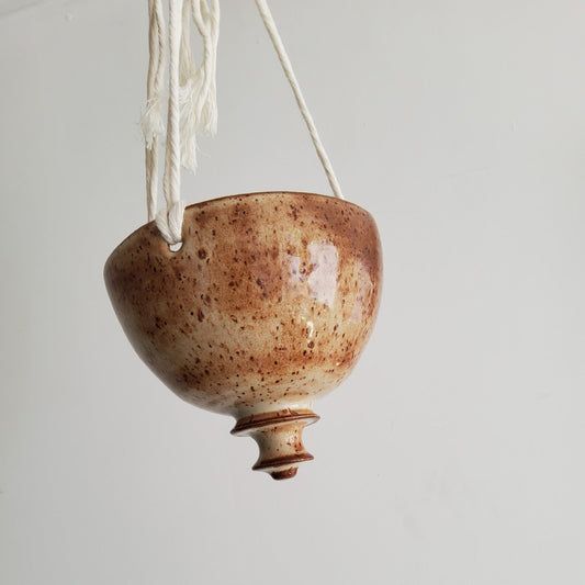Hanging planter
